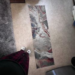 Rug/carpet Hallway Runner