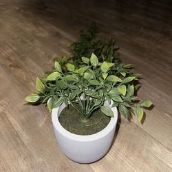 Fake Plant Decoration