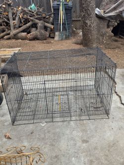 CAGES