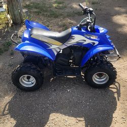 E-TON viper 70 automatic