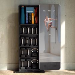 Nordic Track Workout Mirror 