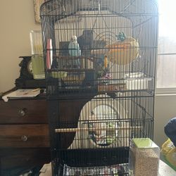 English Budgie Cage