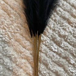 Black pampas - home decor for vase - new