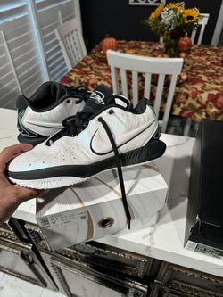 LeBron XXI (21) Size 10.5