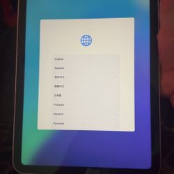 iPad 10th Gen
