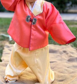 Traditional Korean Silk Dolbok Hanbok - Baby First Birthday Outfit