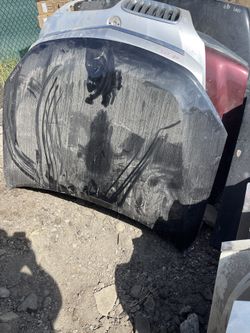 2010 - 2012 Fusión Hood 