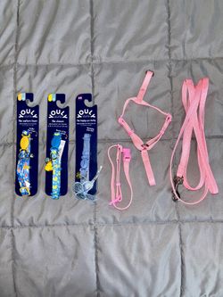 Cat Collars And Leash