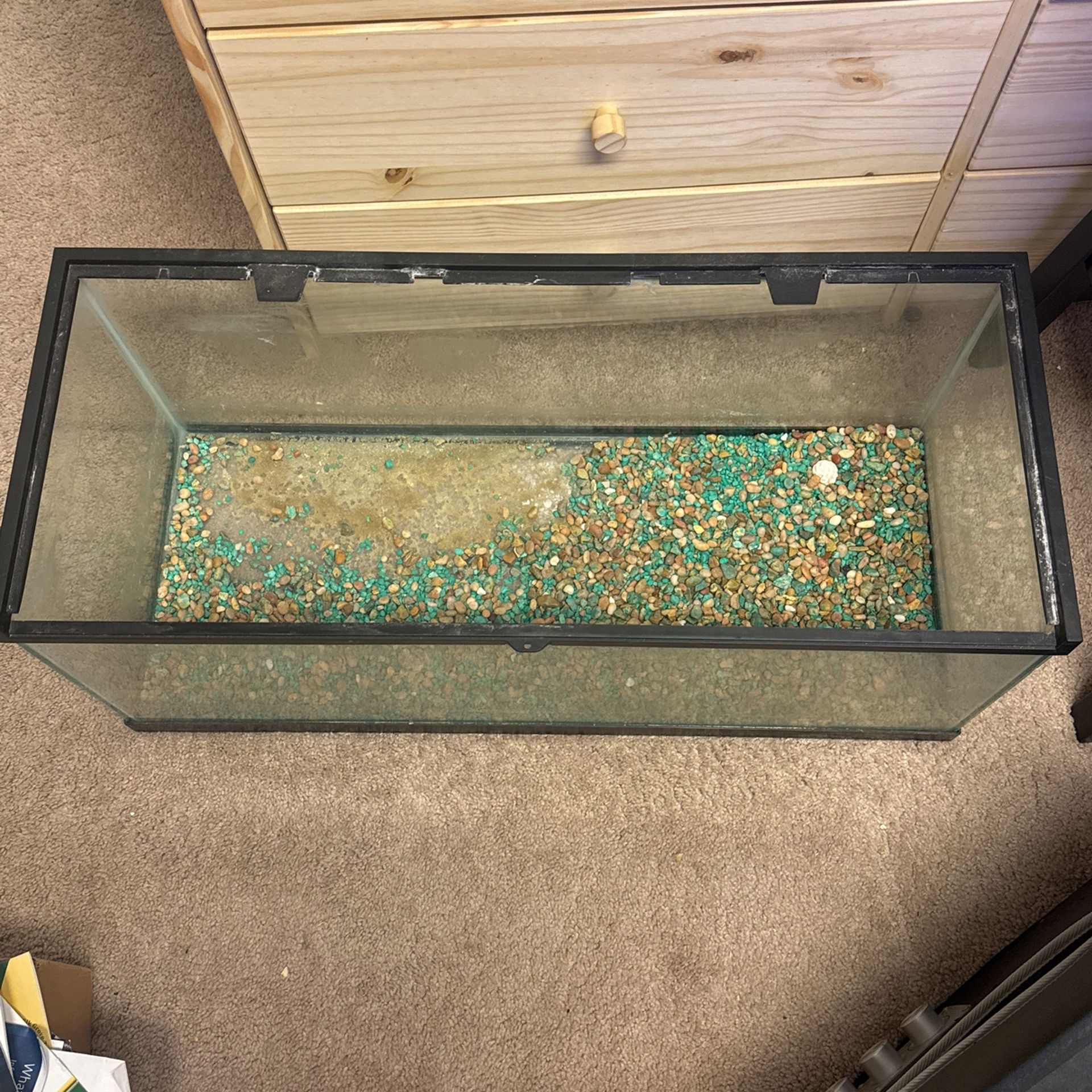 Fish tank