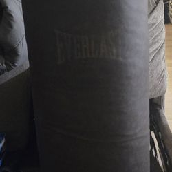 100 Lb Everlast Bag