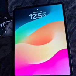 IPAD PRO 5TH GEN 256 GB