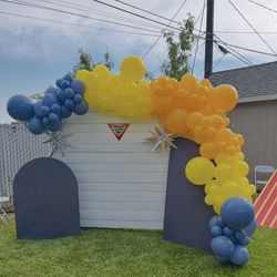 Party Back Drops For Sale