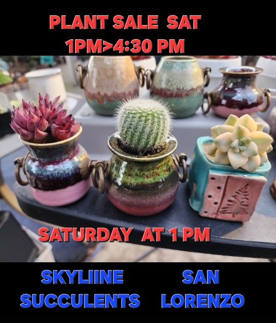 PLANT SALE SATURDAY FROM 1PM TO 430 IN SAN LORENZO $4 TO $29