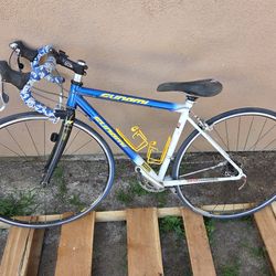 Sunami Road Bike