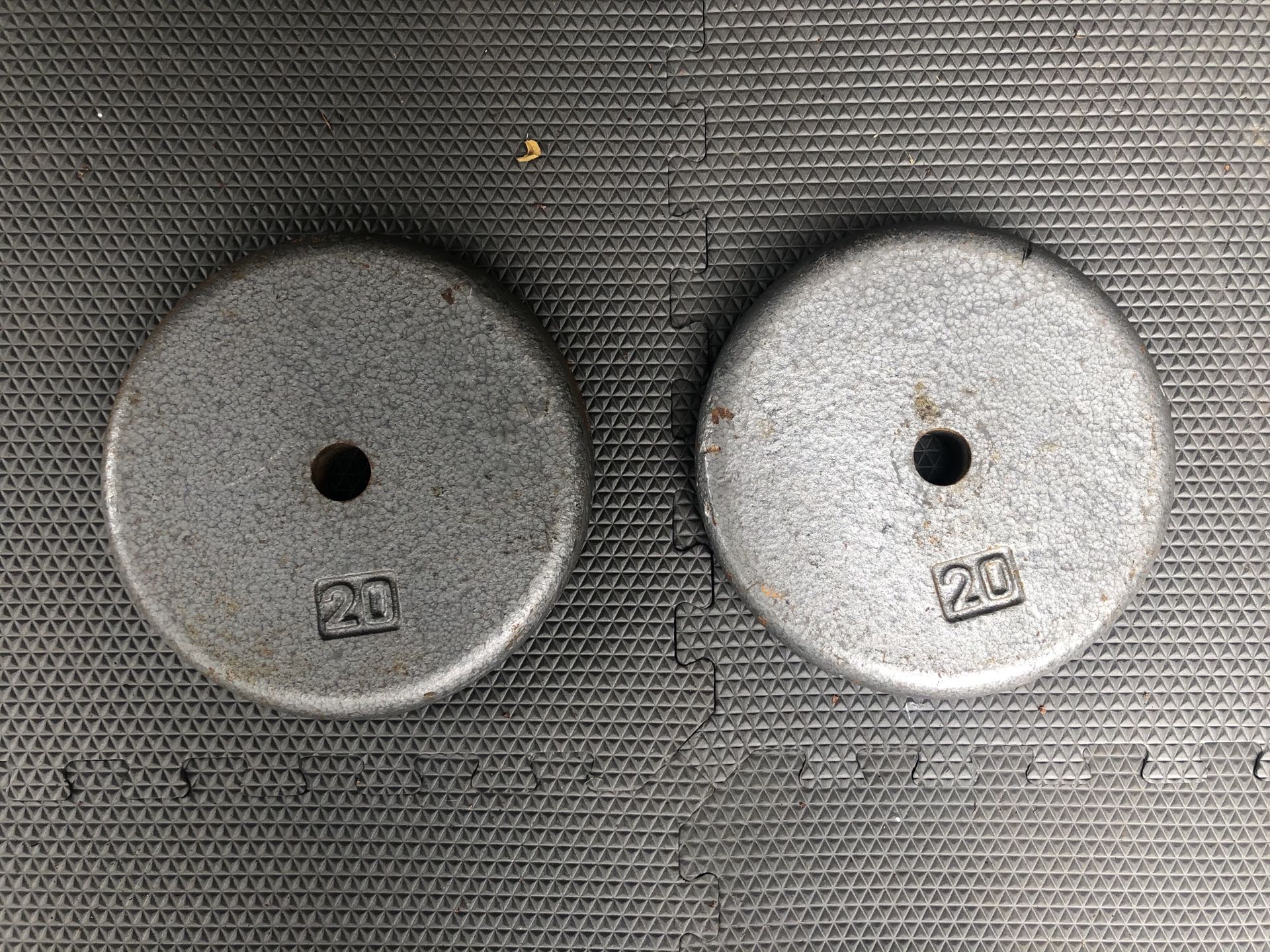 Pair of 20 lbs weights