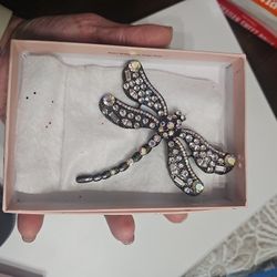 Dragon Fly Pin