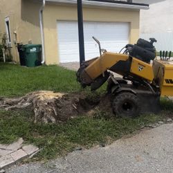Stump Grinding 