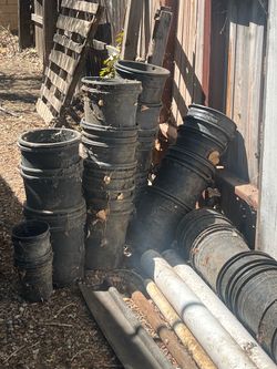 Planters FREE