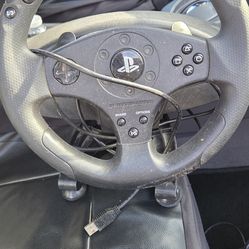 Play station. Steering  wheel  and  Pedals
