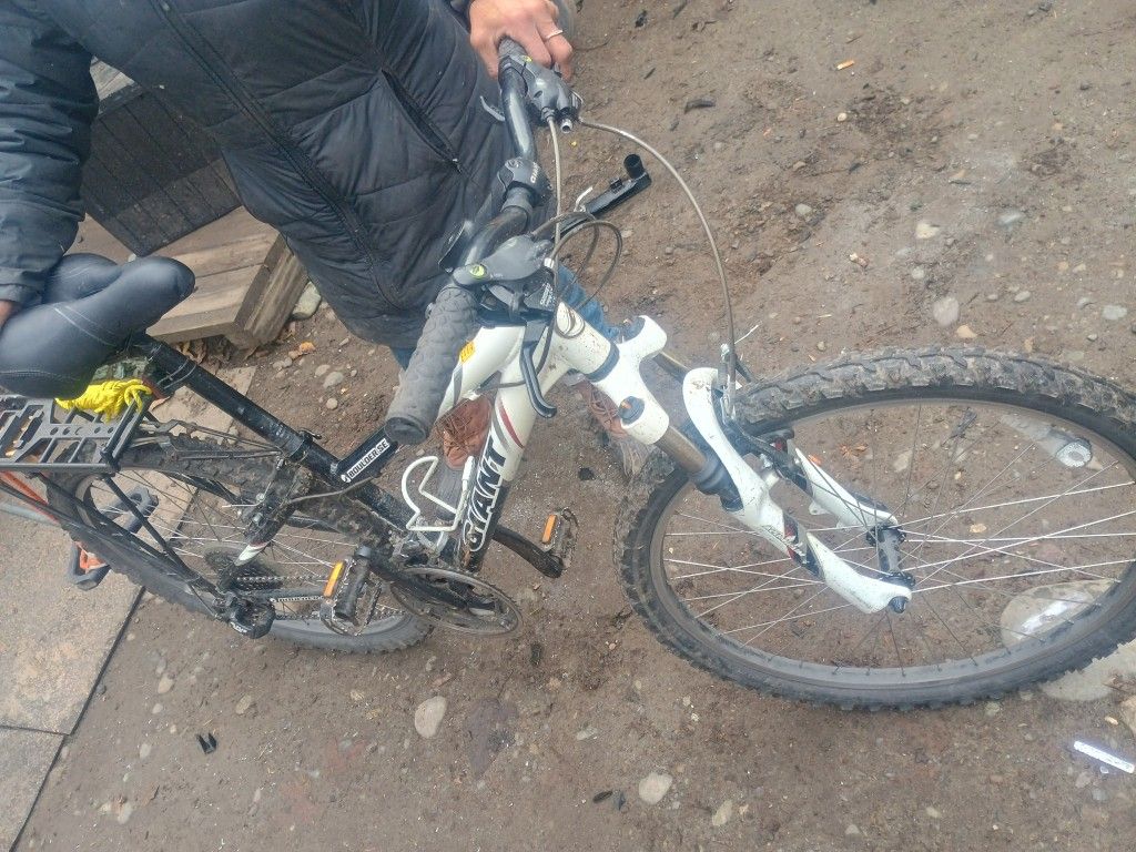 Giant Mt Bike