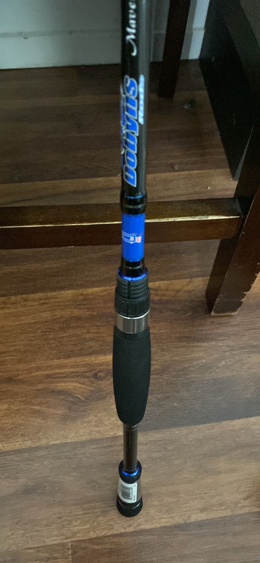 Fishing Spinning Rod