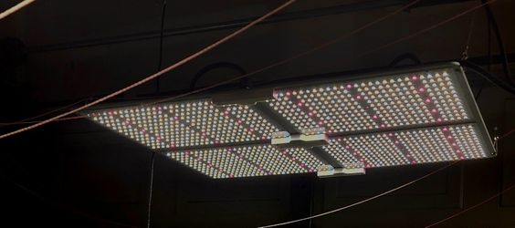 Spider Farmer Grow Light