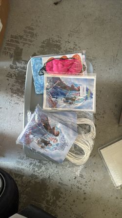 Frozen Birthday supplies
