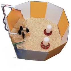 Bundle: Farm Innovators Baby Chick Starter Home