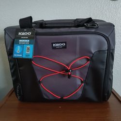 Igloo Cooler Bag