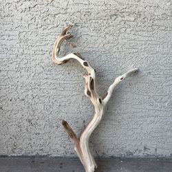 Driftwood: Aquarium, Terrarium, home decor