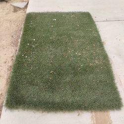Artificial Grass For Small Pet $20