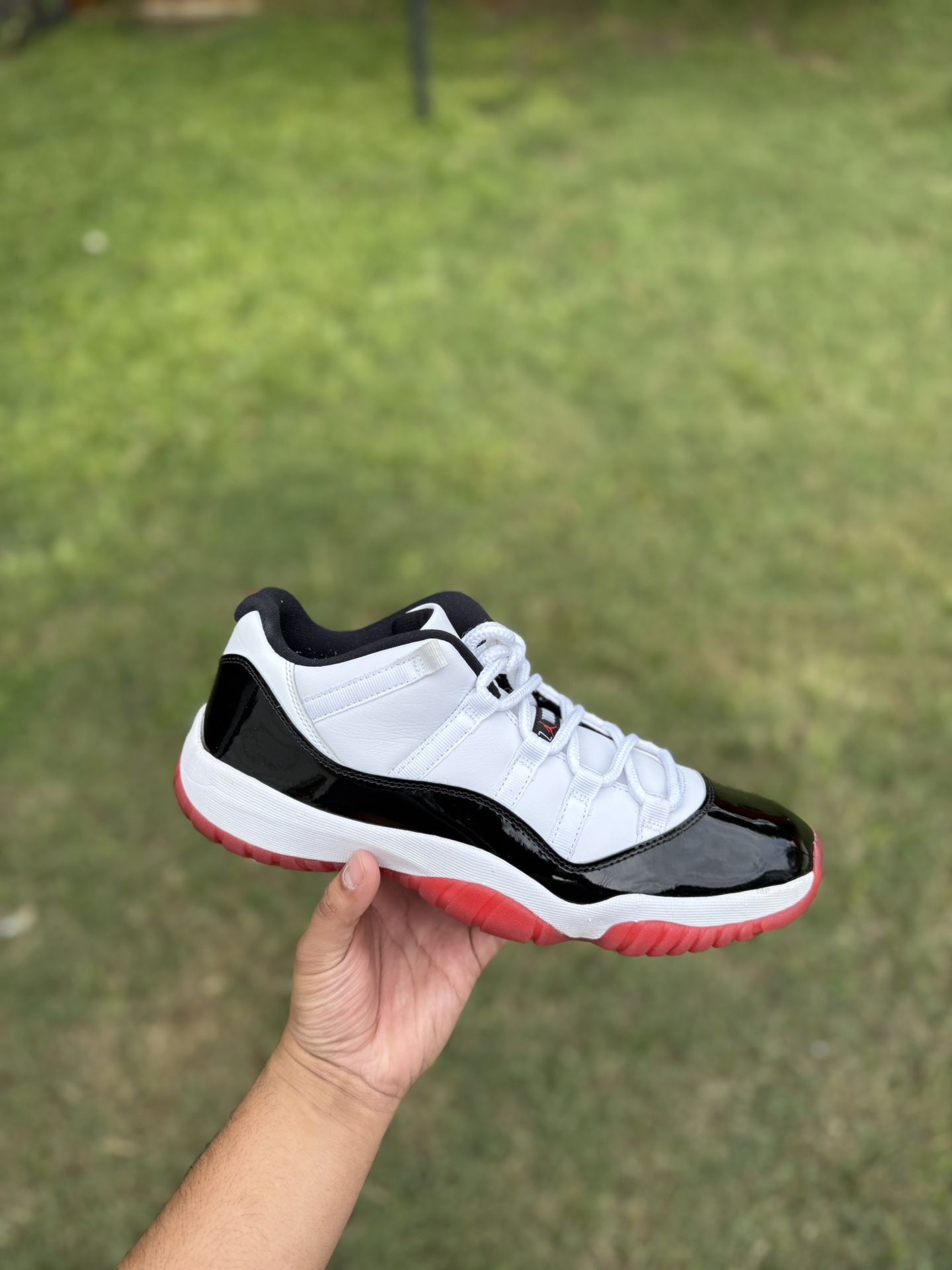Jordan 11 Concord Bred 