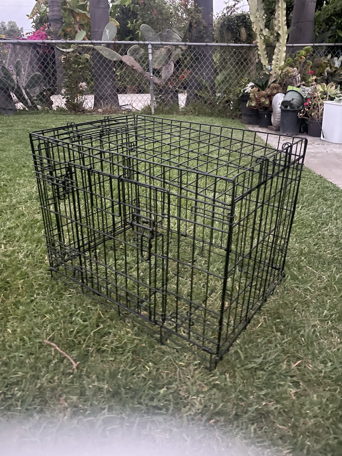 Animal Cage