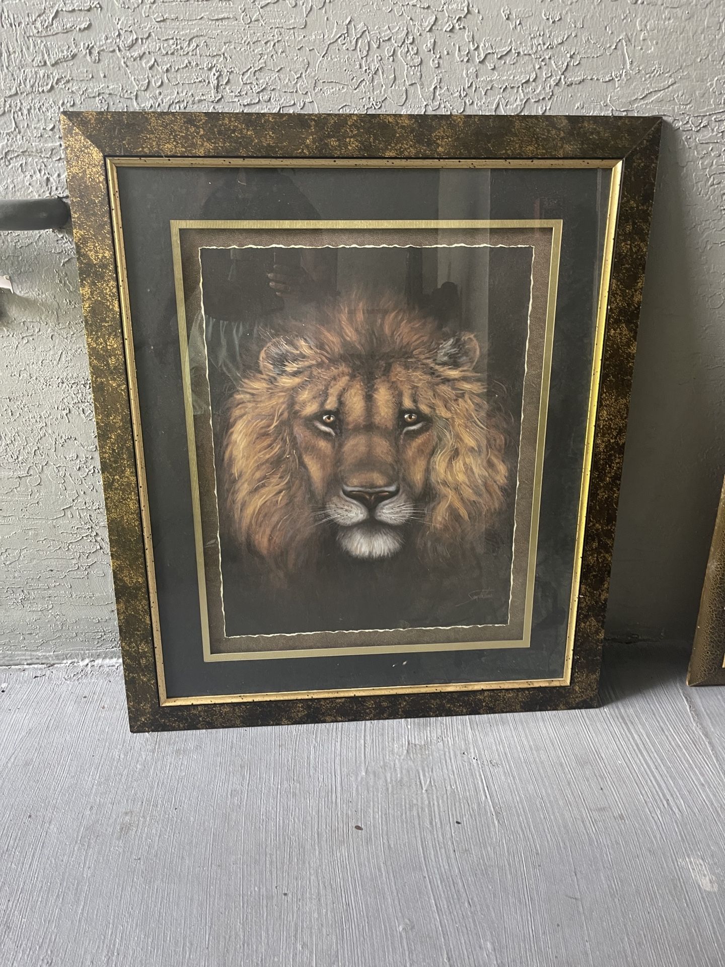 REAL AFRICAN PICTURES WALL DECOR