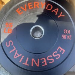 55LB Weight Plate Set 