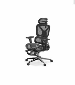FLEXISPOT Ergonomic Office Chair