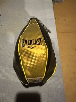 Everlast Striking bag