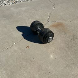 Dumbbell - Adjustable 