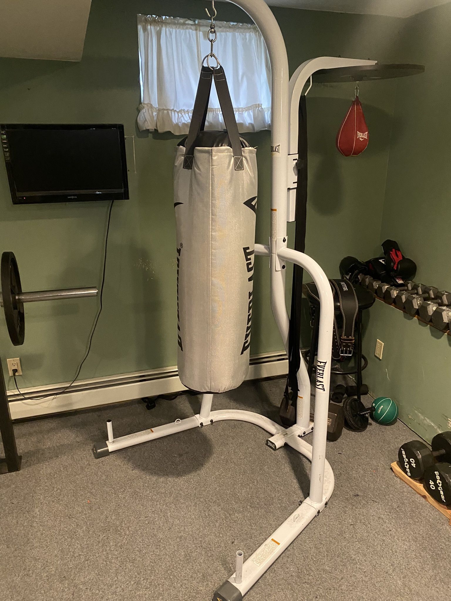 Everlast Heavy/Speed Bag Combo
