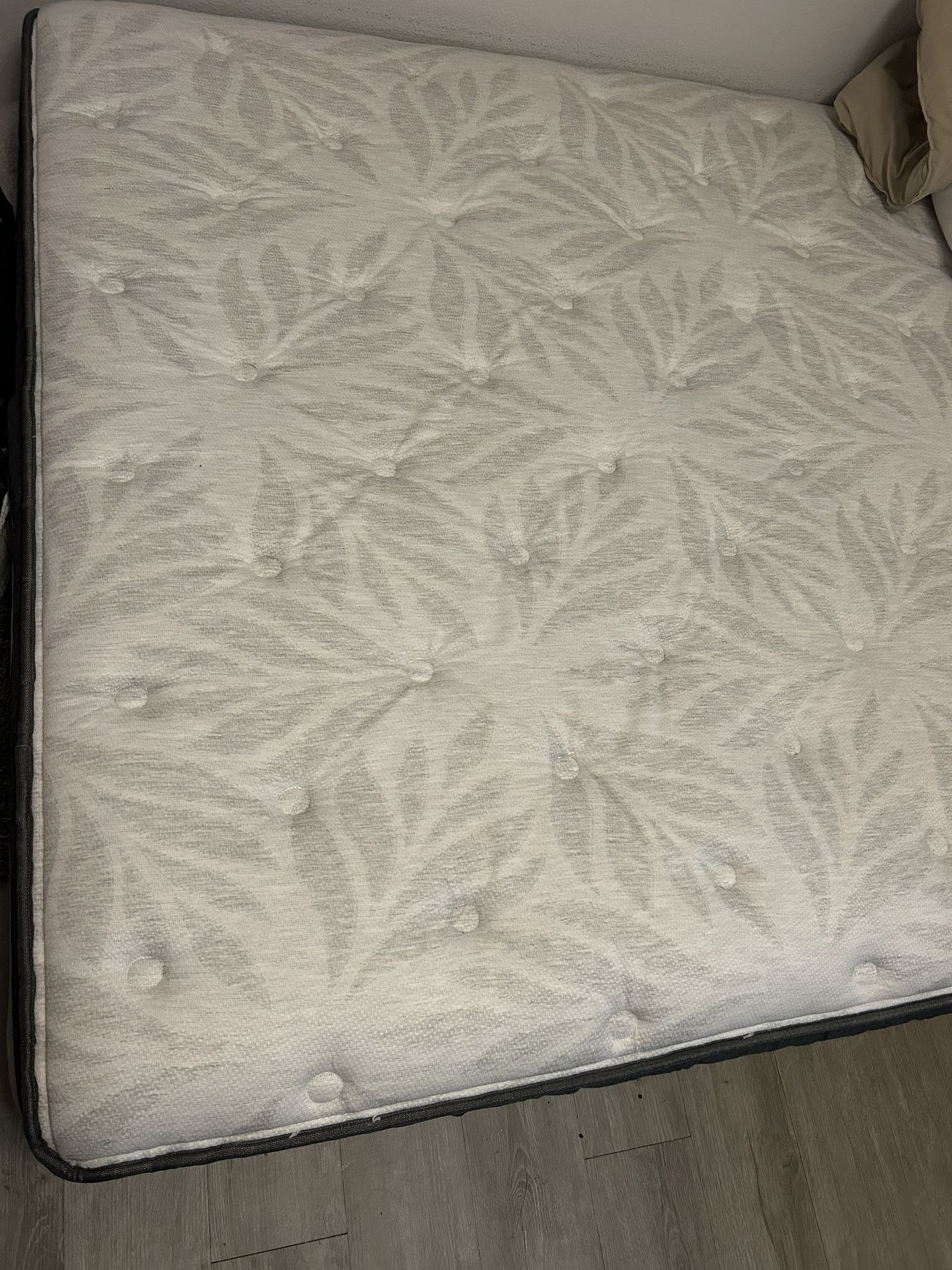 Queen Sealy “Summer Rose” Mattress With Adjustable Queen Base