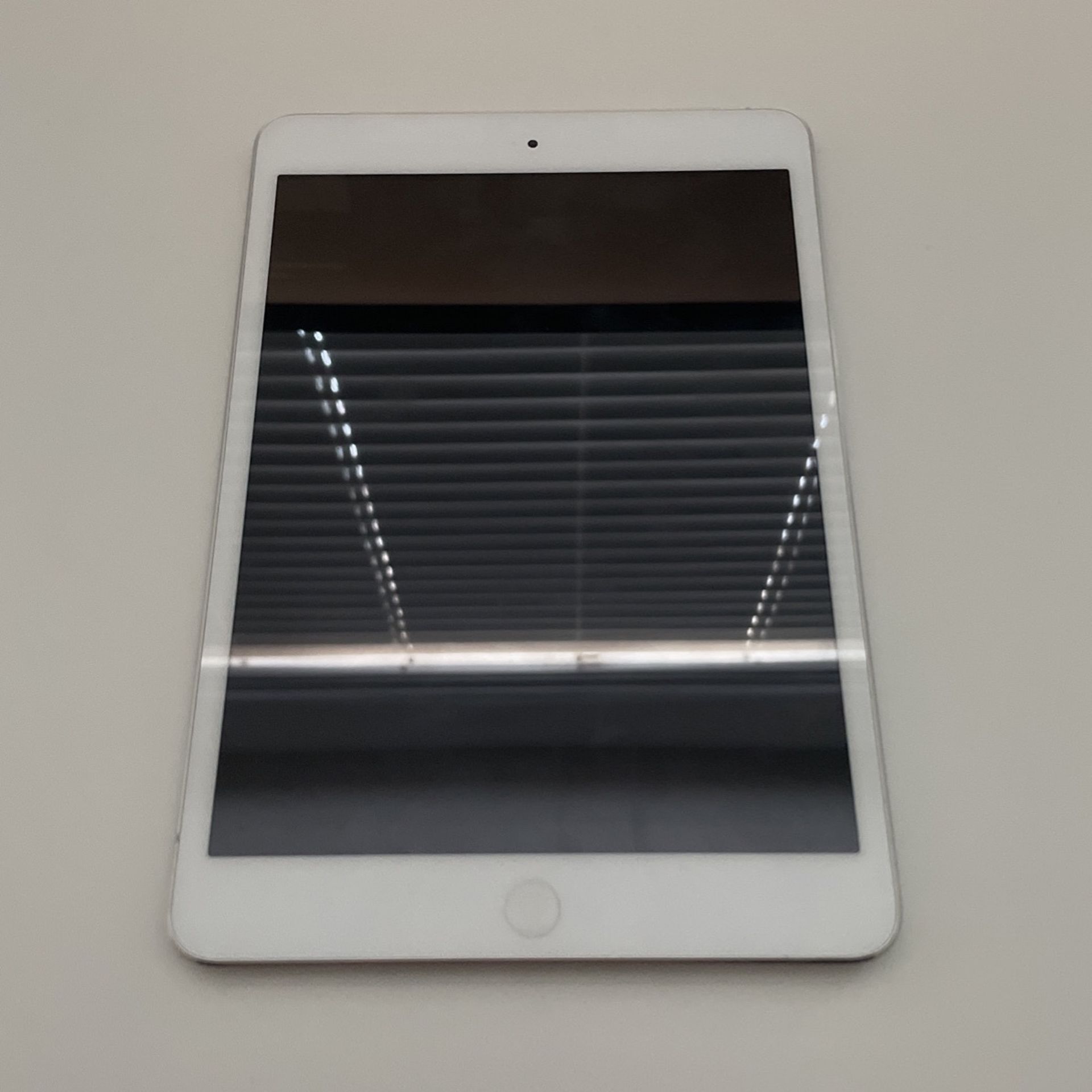 iPad Mini First Generation (Data Capable)