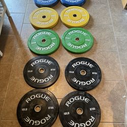 Rogue color echo Olympic bumper plate set 260lbs