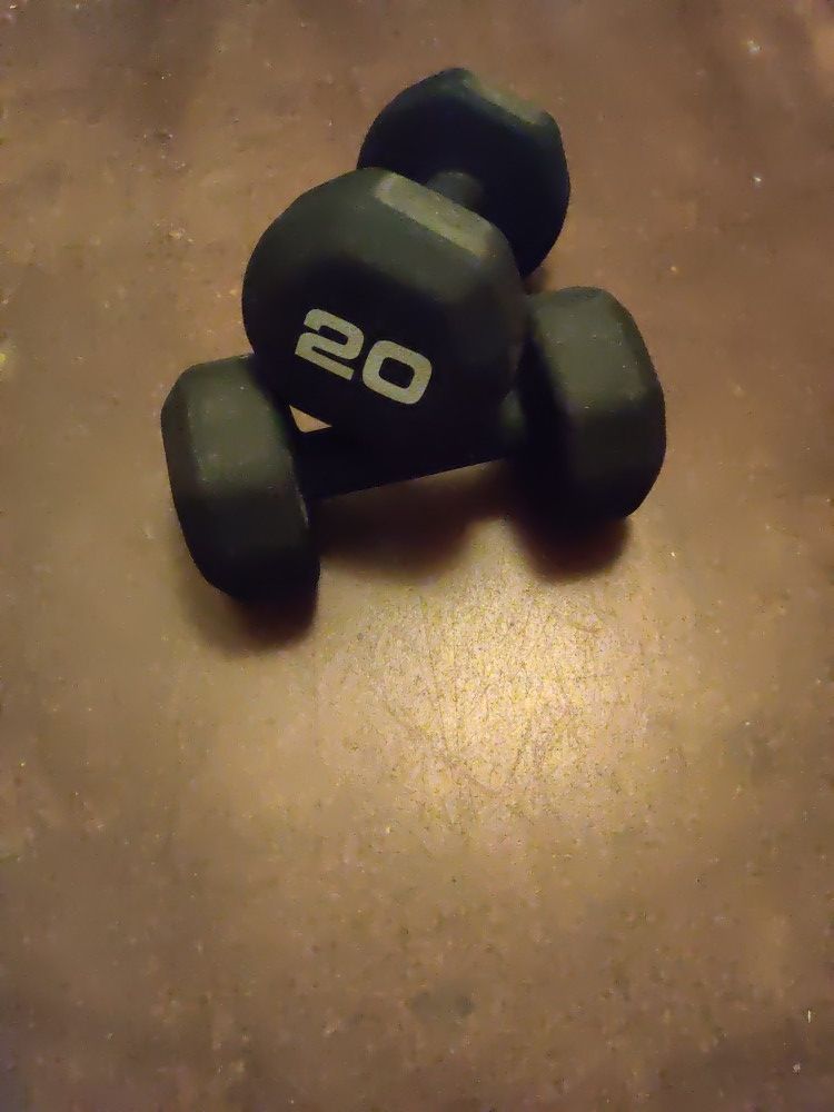 Two 20 Pound Dumbels