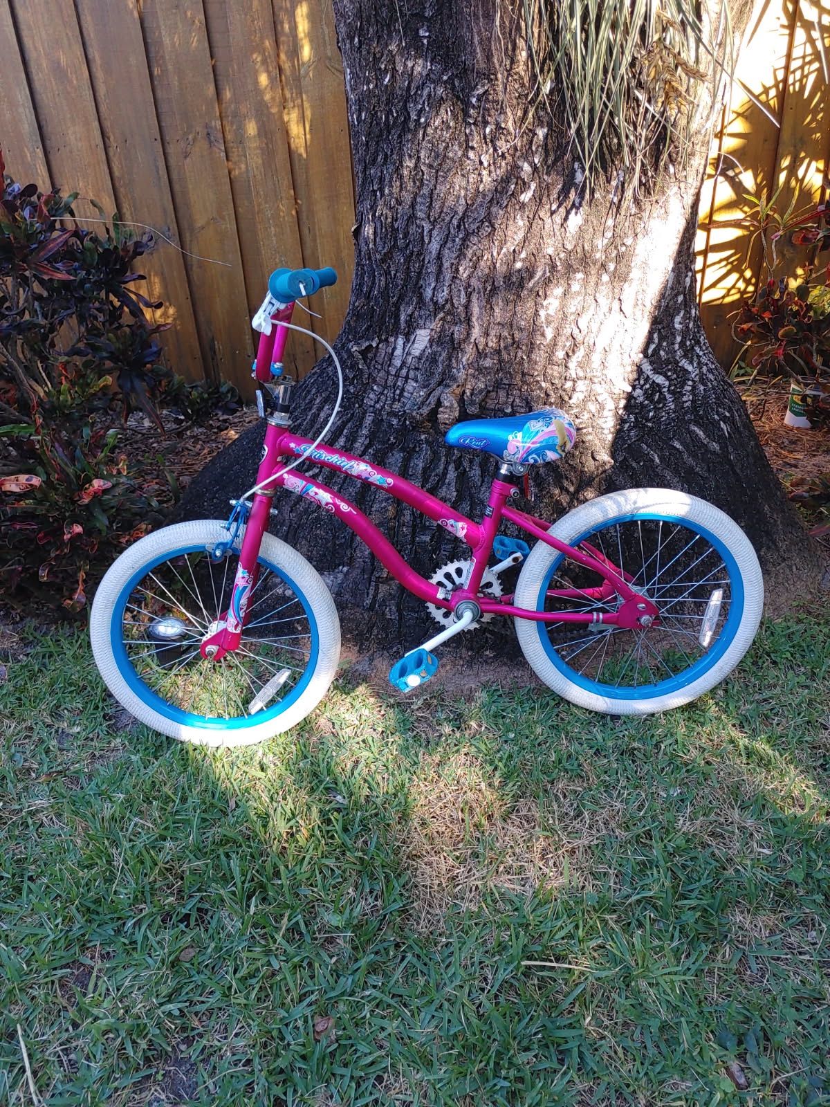 Preowned bicycle girls 18 inch bike ready to ride
