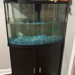 Fish tank