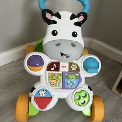 Baby Push Toy