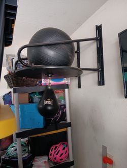 Everlasting Speed Bag With Mount