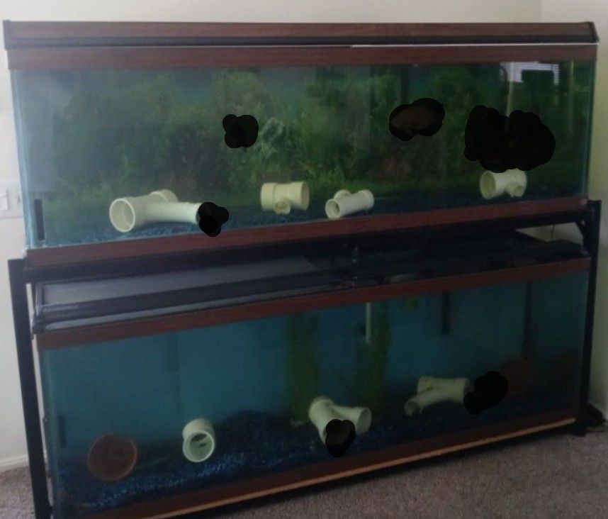 125 Gallon Tanks No Fish For Sale Tanks Filter Heaters