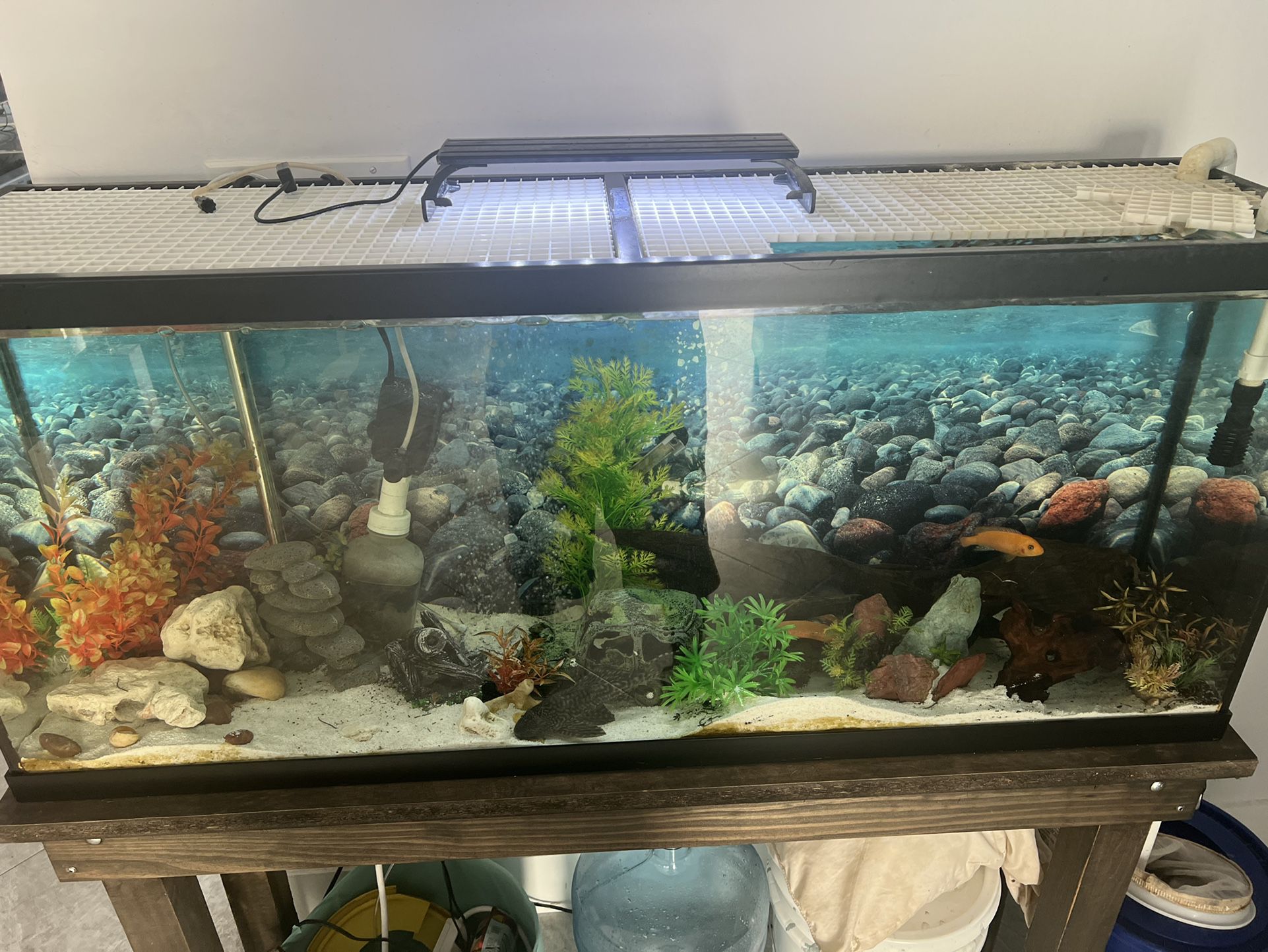 Fish Tank With Stand And Everything