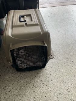 Petmate Hard-Sided Pet Travel Kennel Crate